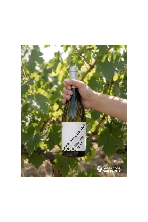 Vale da Teja Reserva Branco 2020