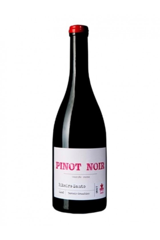 Ribeiro Santo Pinot Noir...